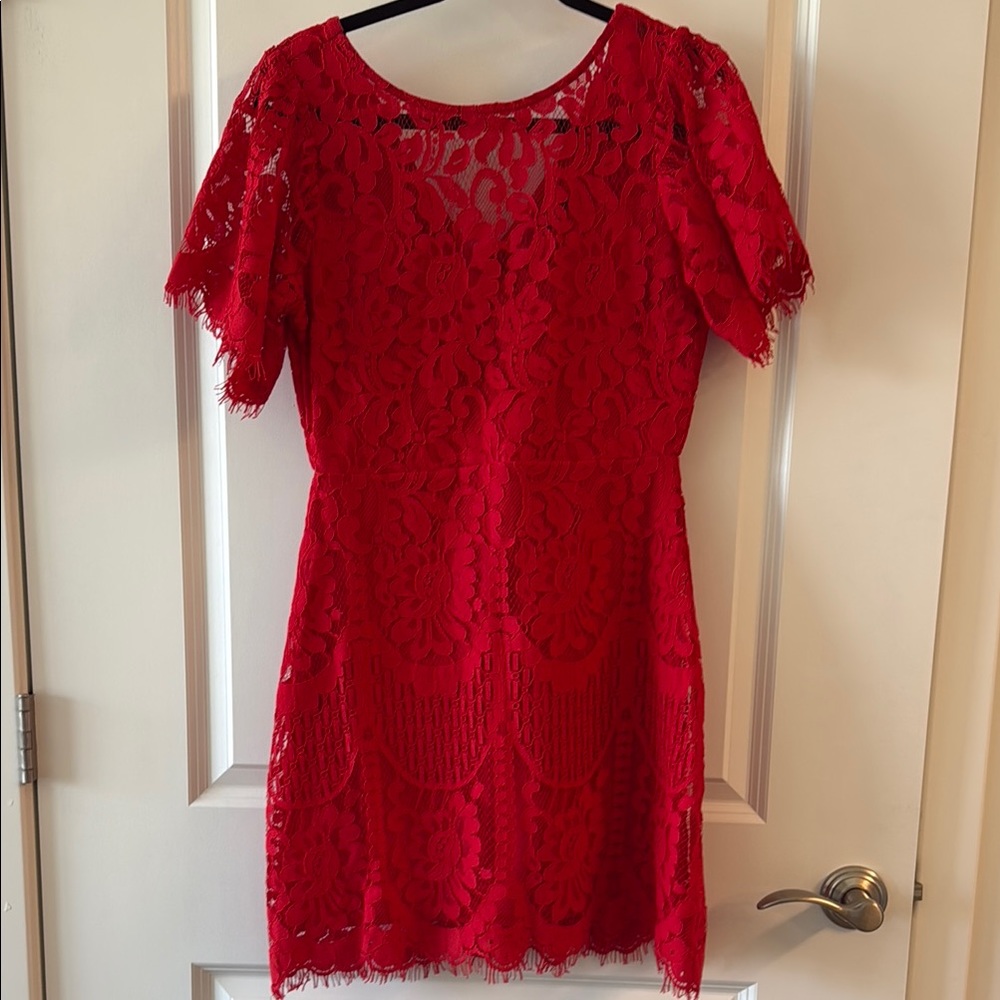 Lulu's Lace Mini Dress
